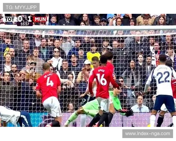 穆阿尼凌空抽射,热刺2-1再次领先 穆阿尼凌空抽射,热刺2-1再次领先