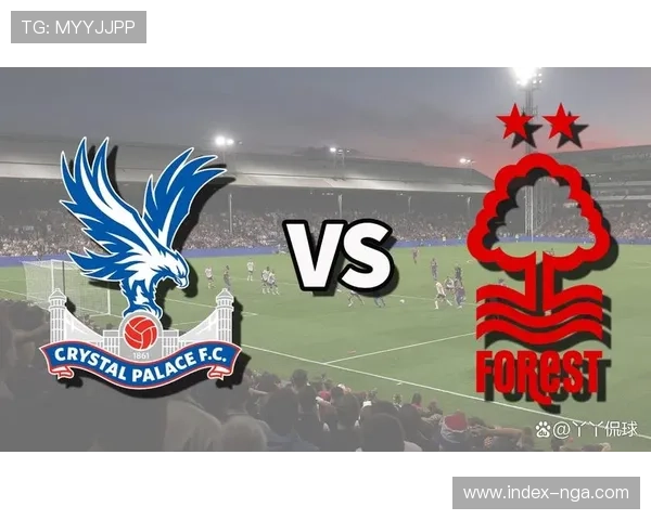 水晶宫球迷漫画讽刺诺丁汉森林 足总调查场外冲突